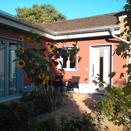 Apartament Kleines Feines Ferienhaus Im Herzen Von Drezno Zewnętrze zdjęcie